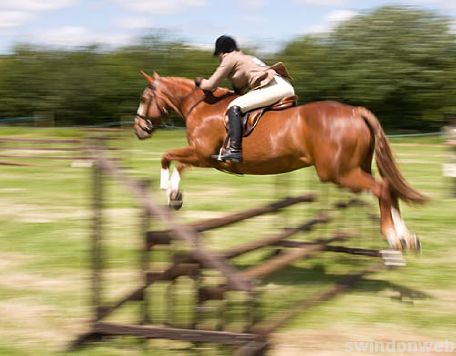 Wanborough Horse and Dog show